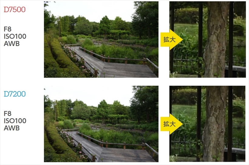 ↑両機の低感度時の画質を比較。ホワイトバランスなどはオートにして、キットレンズの広角端(27ミリ相当)で撮影しての比較。色再現などの差はほとんど見られない。拡大するとD7200のほうがわずかにシャキッと見えるが、階調はD7500のほうが感じられる。差としてはわずかだが、階調を重視するか解像感を重視するかで評価が変わるだろう