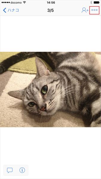 20170707_y-koba_iPhone (2)