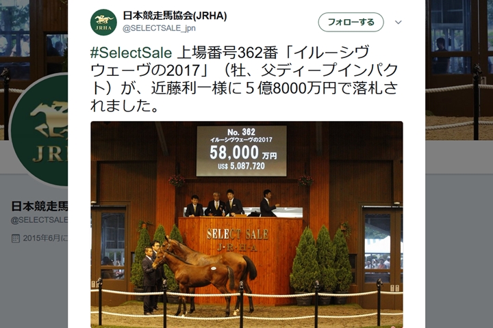 最高額は5億8000万円! 2017年セレクトセールの高額落札馬トップ5はこれだ
