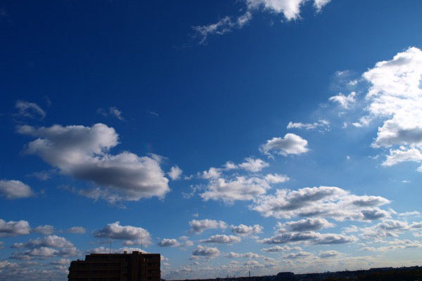 雲を知れば天気が読める! 覚えておきたい雲の形4選