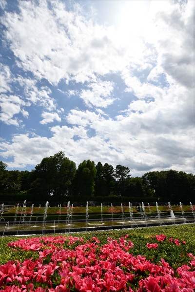 ↑ツツジの花に囲まれる噴水。その上空に目をやると、雲の切れ間から眩しい太陽。その地面と空の両方を写し込むには、超広角の画角が不可欠だった。強烈な逆光の条件だが、ゴーストやフレアの目立たない描写に満足! 15mm相当 絞り優先オート(F11 1/250秒) +0.3補正 ISO100 WB:オート