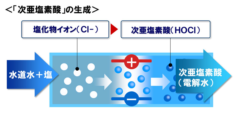 ↑次亜塩素酸の生成イメージ。水トレイに塩タブレットを入れて食潜水を作る。これを電気分解することで次亜塩素酸水が生成される