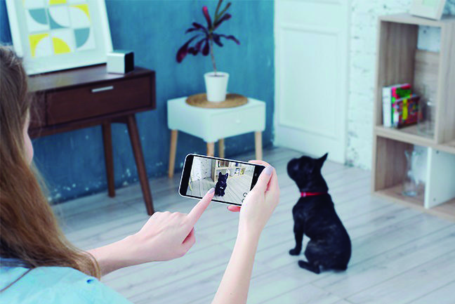 インスタで人気の犬猫たちがチェック! 話題のペットカメラで見守る＆癒される