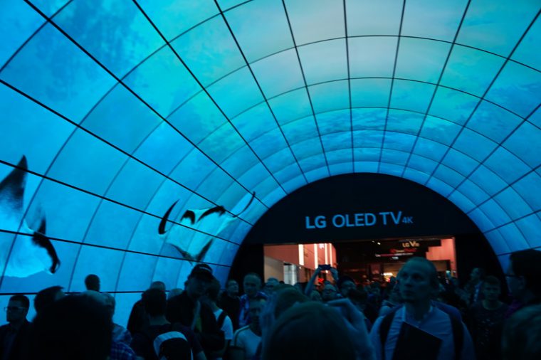 ↑LGブースのエントランス。55インチのOLEDを216枚並べた圧巻の光景!