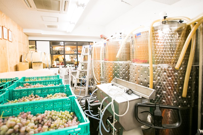 低温発酵タンク、開放タンク、木樽、原料のぶどうなどで醸造所内はギッシリ