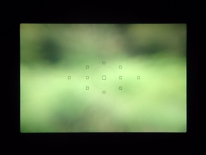 ↑11点のAFセンサーが採用されているEOS 6D。そのカバー範囲は菱形状になっており、1点1点の間隔も広めになっている