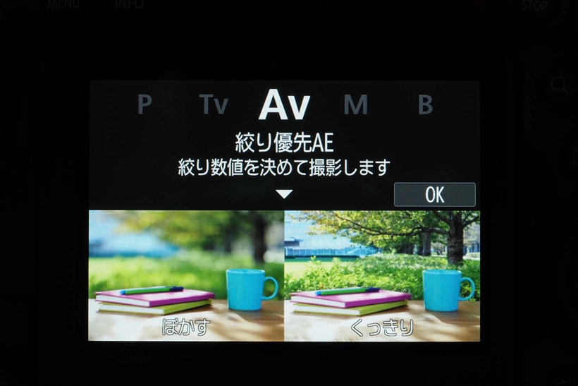 ↑ビジュアルガイドの例。絞り優先オートを使って絞りを変更することで背景のボケ描写が変化することを作例写真で表現している
