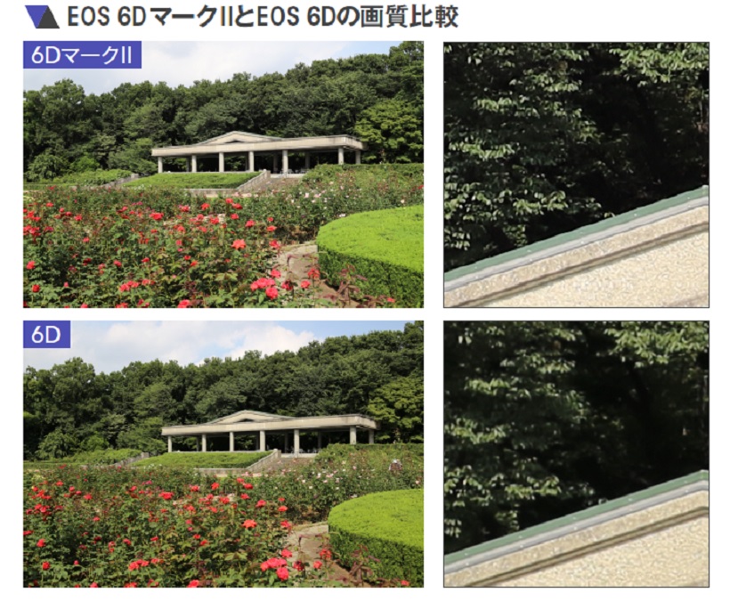 ↑非常によく似た描写で、細部を拡大チェックしても、細かい部分の描写に差はあまり感じない。ただし、色再現に少し差が出た。EOS 6DマークⅡのほうがクセがなく自然に感じる