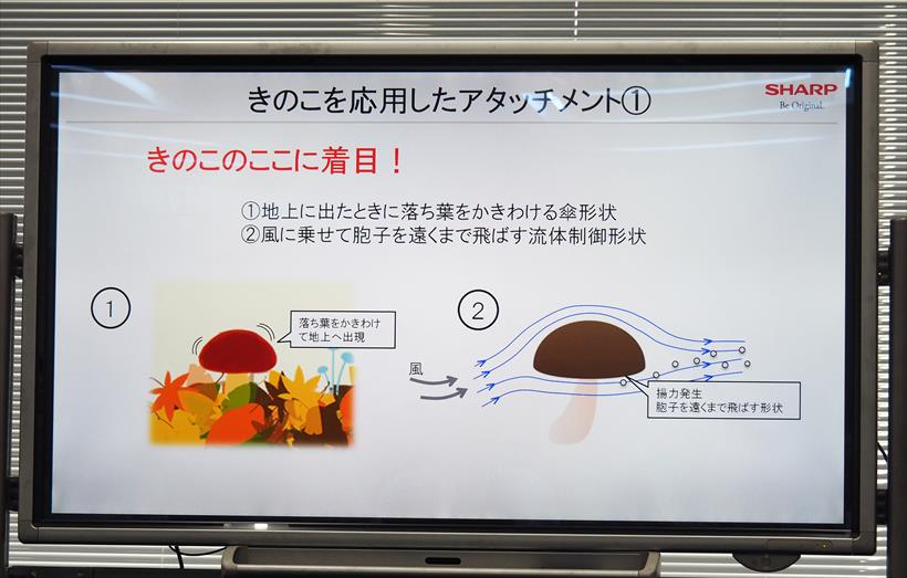 ↑きのこの傘の部分が航空機の翼のように揚力を発生させ、胞子を遠くまで飛ばします