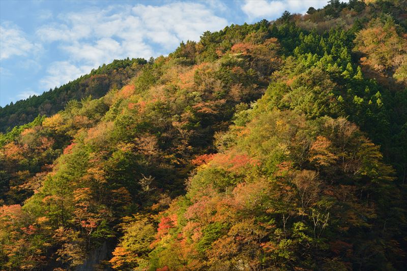 ↑サイドからの光によって、山の斜面に陰影ができている。サイド光は平面の写真で風景を立体的に描き出せるため、広い風景を撮るのに適した光だ