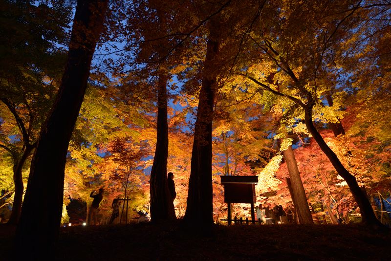 【紅葉撮影の超実践!!】紅葉を見かけたらコレを思い出すべし! 4つの実例でポイントをマルッと解説