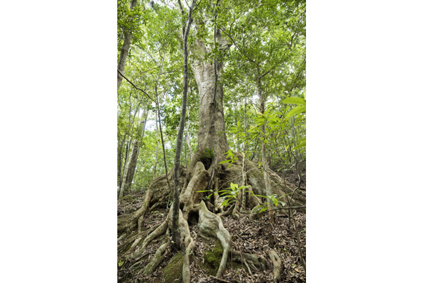 20171020_BLnak1_2