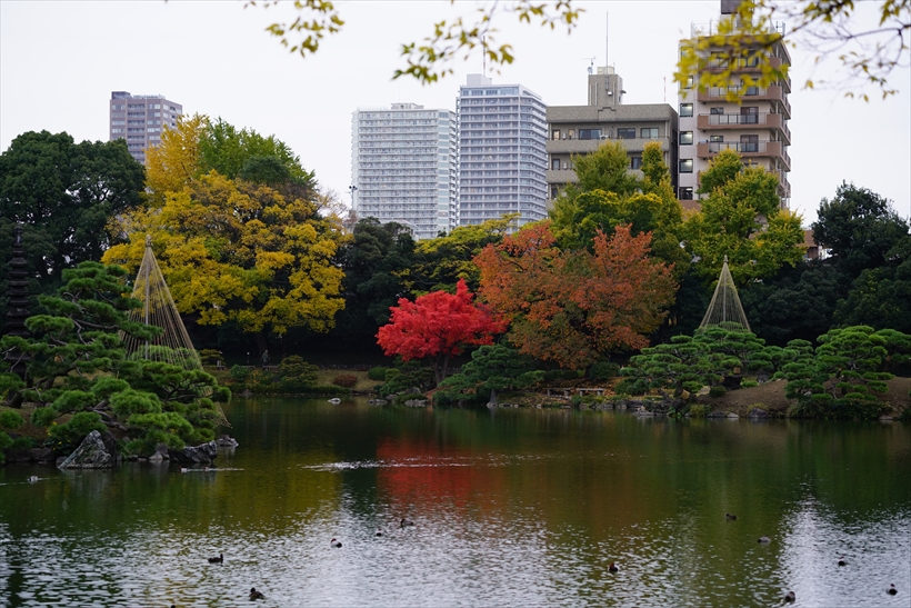 ↑α7RⅡで撮影。高性能レンズを用いることで約4240万画素の高い解像感を得られただけでなく、裏面照射型センサーによる豊かな階調再現で自然な写りとなった。85mm相当 絞り優先オート(F3.5 1/100秒) ー0.3補正 ISO500 WB:オート