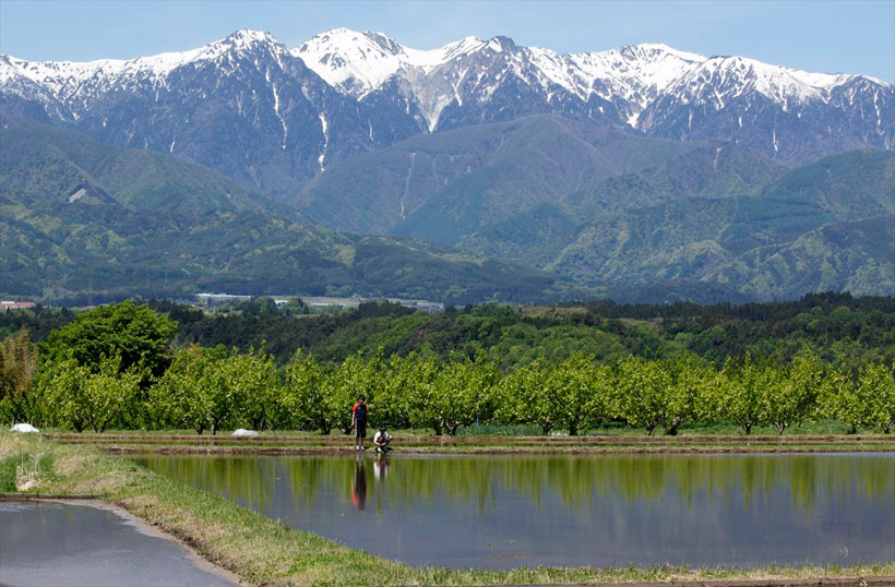 ↑中川村の風景