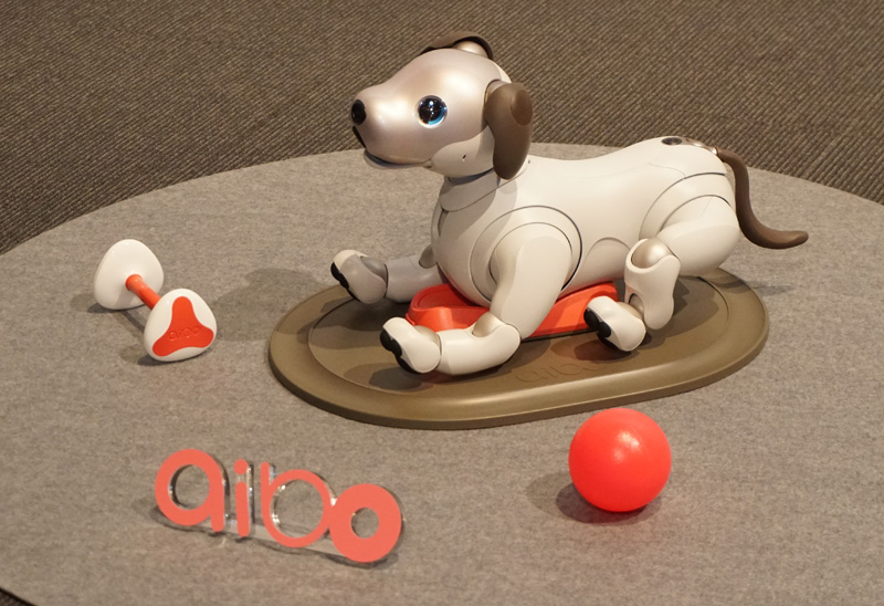 ↑曲線を活かしたやさしいデザインの新aibo