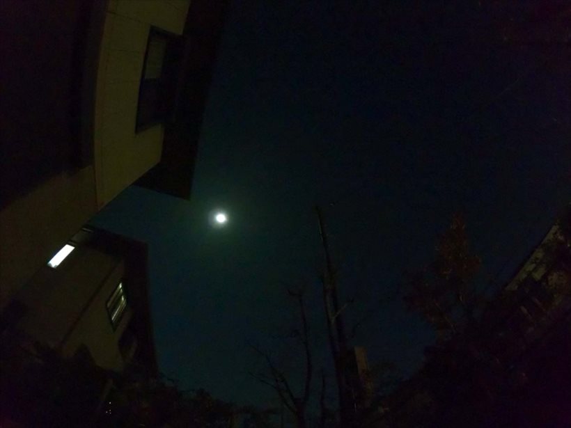 20171107_y-koba2_月夜_R