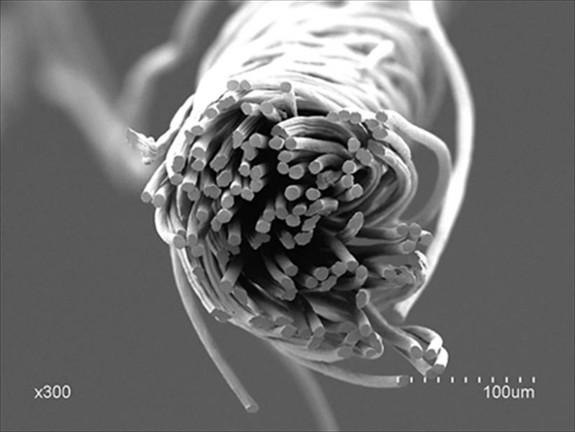 ↑2004年段階からたゆまぬ改良を加え、より薄く暖かく柔らかい繊維を生み出していった