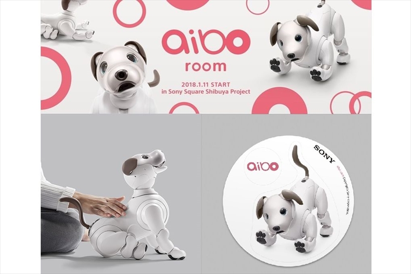 写真じゃ伝えきれないこの愛くるしさ！ 新生aiboといち早く触れ合える魅惑の「aibo room」が1月11日から渋谷に登場