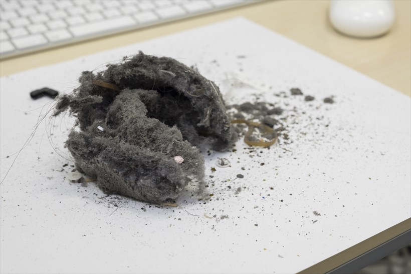 ↑これだけのゴミが取れました! 拡大すると気持ち悪いので少々遠くから撮影