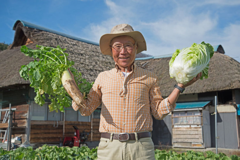 マルチ野菜の白菜と大根をフル活用！ 困った時の冬レシピ3選