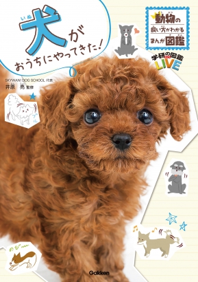 GKNB_BKB0000405916608_75_COVERl