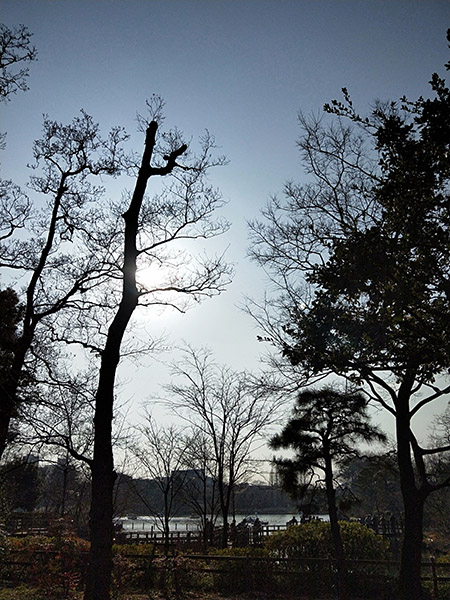 20180122-i01 (10)