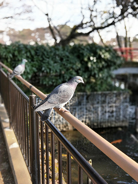 20180122-i01 (9)
