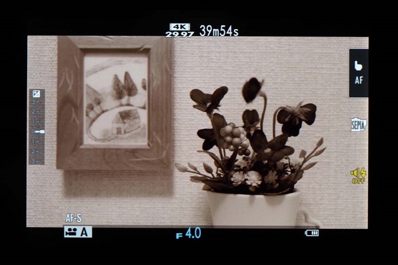 ↑すでに「フィルムシミュレーション」の特徴は述べたが、同機能を4K動画撮影時にも反映させられる。その独特な描写を楽しみたい
