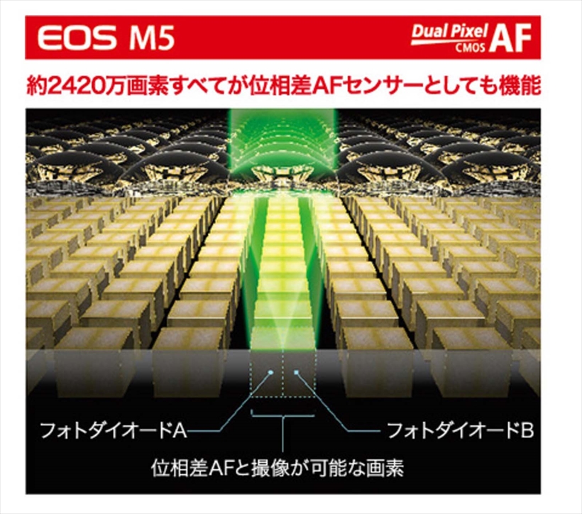 ↑「デュアルピクセル CMOS AF」では、すべての画素が位相差AFセンサーとして機能する。撮像面の80×80％の範囲で高速AFが作動