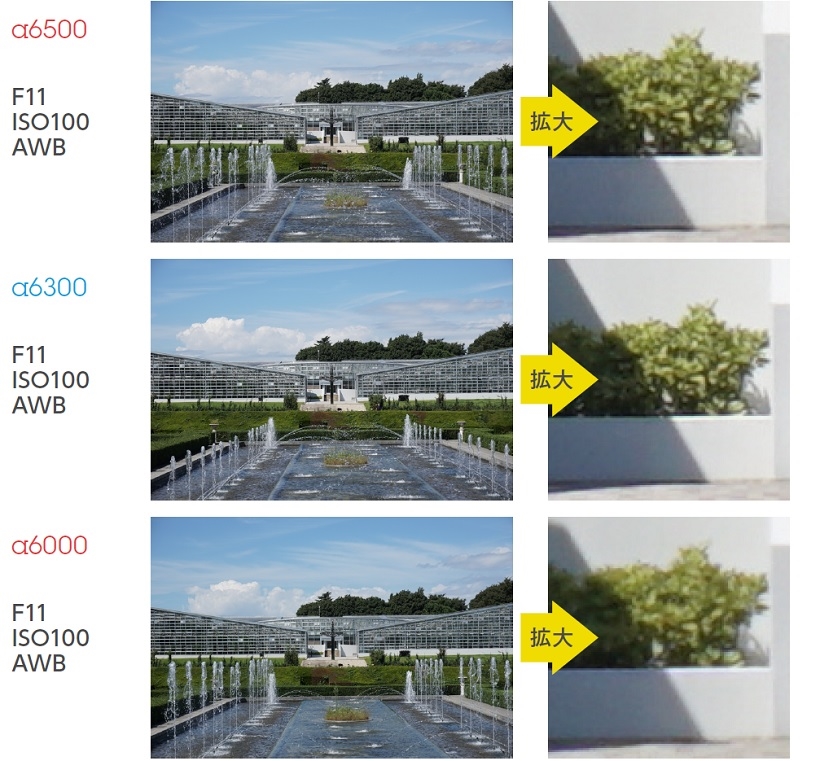 ↑α6500とα6300は適度にメリハリが効いた写りなのに対し、α6000は比較するとわずかに緩い写りでシャープネスが弱めにかかっているようだ。結果としてα6500とα6300の解像感が高く感じられる。気になる場合は、α6000の設定などでシャープを少し高めにするといいだろう