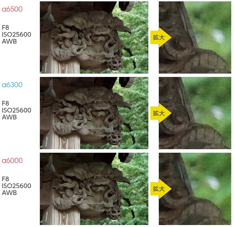 ↑最高常用感度のISO25600まで感度を上げて撮影。拡大して見ると、いずれもノイズを処理した形跡が確認できるが、α6500はムラが少なく、質感も十分に残っている。α6300はノイズは目立たないものの、質感が粗く感じる。α6000は多少ノイズは残っているが、質感描写は悪くない