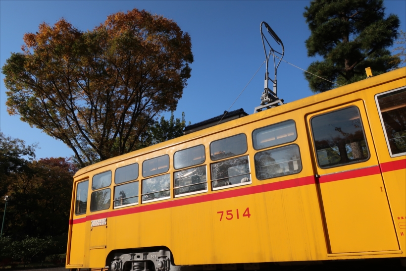 20180130_y-koba5_0080_R