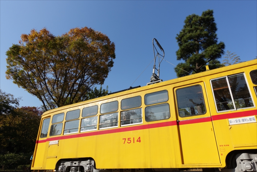 20180130_y-koba5_0086_R
