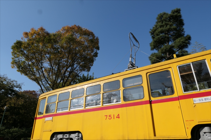 20180130_y-koba5_0092_R
