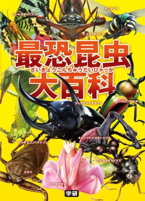 GKNB_BKB0000405916549_75_COVERl