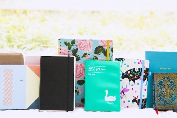やっぱり慣れた手書きがイチバン！2018年の間違いない手帳12