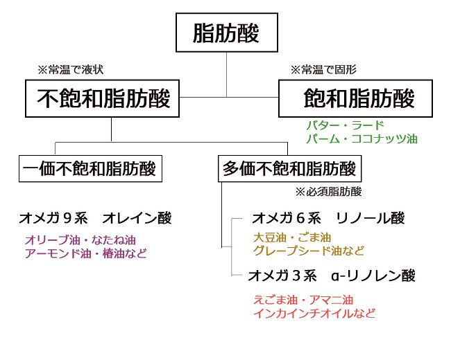 20180226_kaki_Li_02