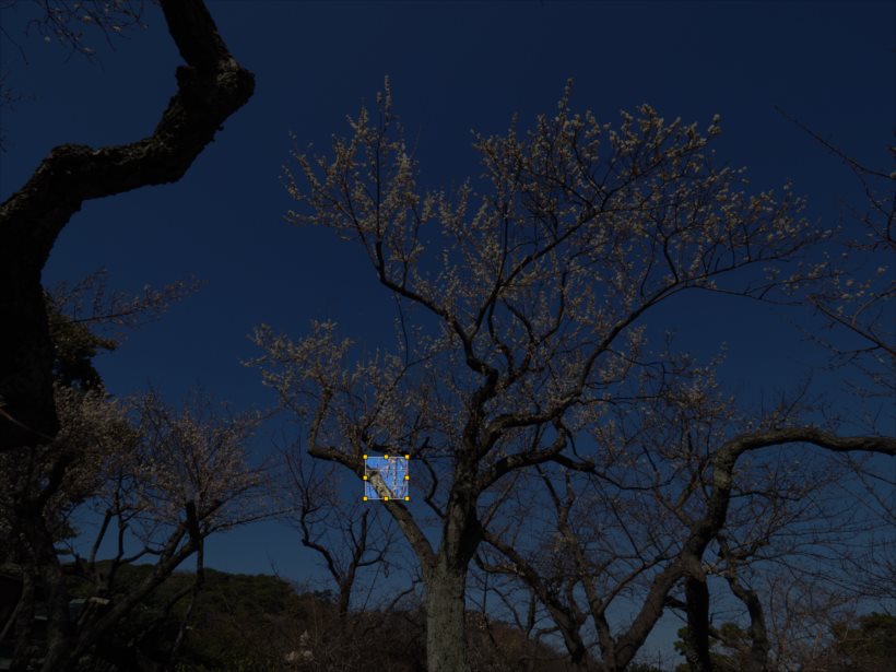 20180227_y-koba6 (24)