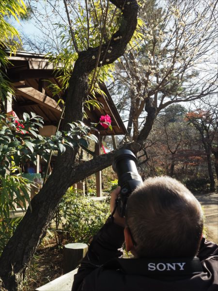 20180227_y-koba6 (7)