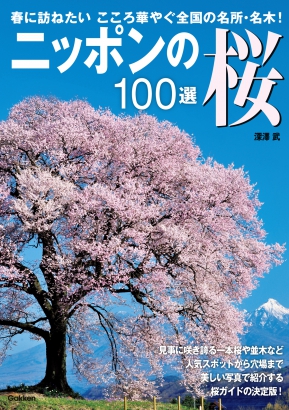 GKNB_BKB0000405912058_75_COVERl