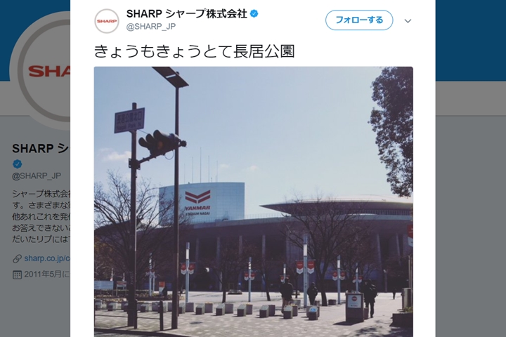 セレッソ大阪と契約のSHARP、Twitterで「サッカーの会話が意味不だった」とこぼす