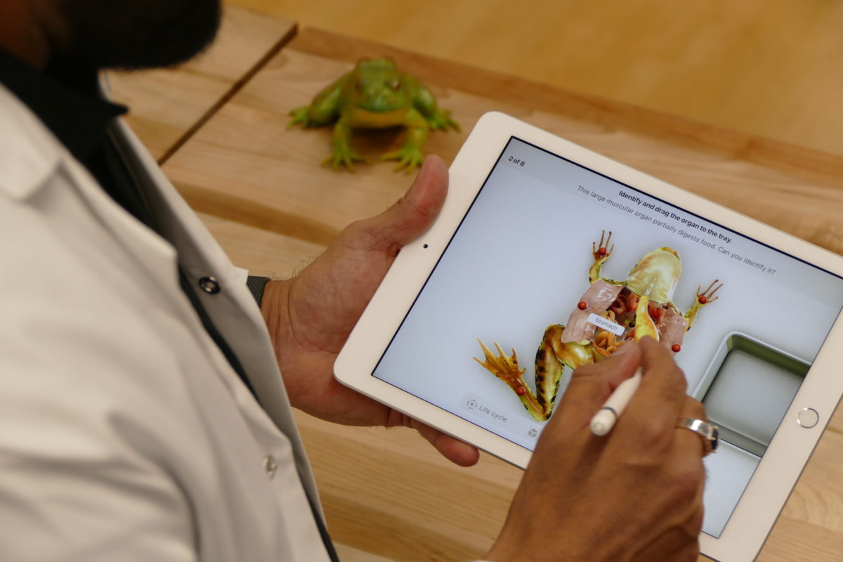 新iPadがiPad Proより3万円以上安いけど、もしかして”神タブ”ですか？