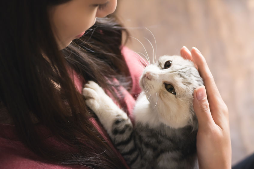 災害時に不安を抱える飼い主は9割以上！ 自分と猫の避難計画を立ててますか？