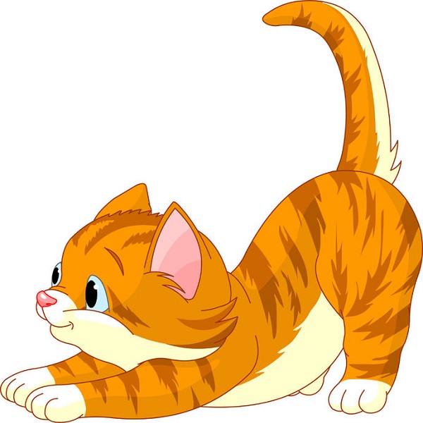 犬が尻尾を振るのはうれしいから。じゃあ猫はどんな時に尻尾を振る？