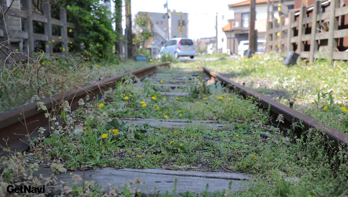 あの線路はどこへ行く？ 相鉄車内から見える“謎の廃線”を探索！