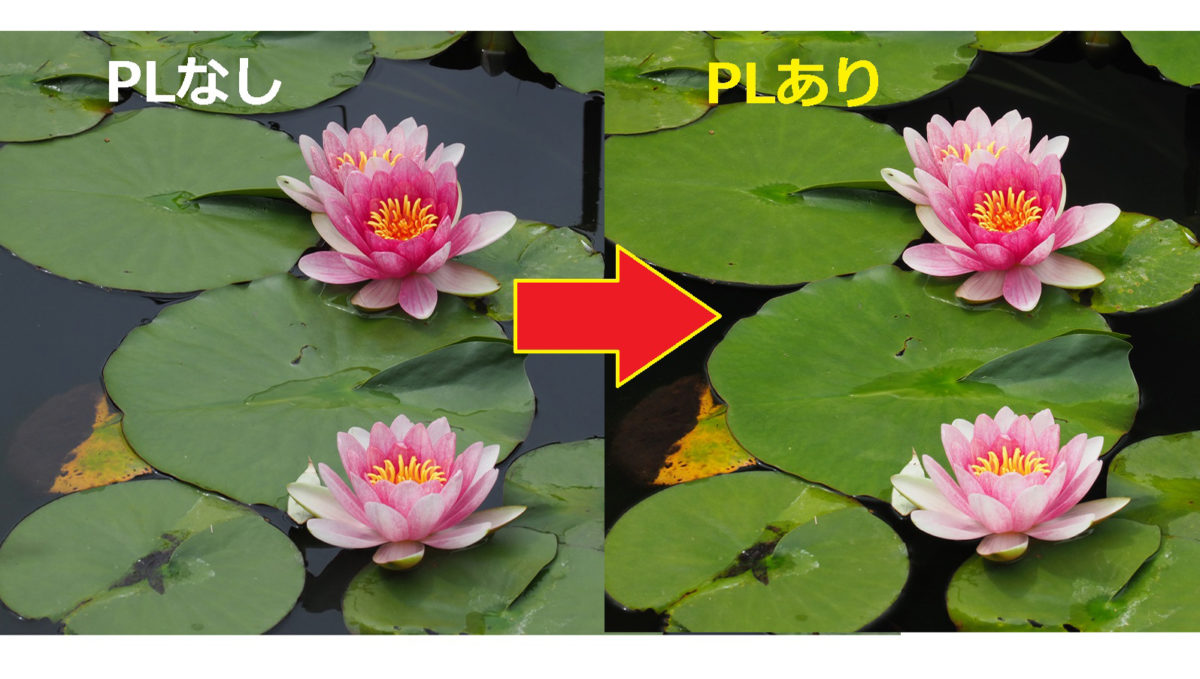 風景撮影の必需品!! カメラ初心者にもわかる「PLフィルター」の効果＆選び方
