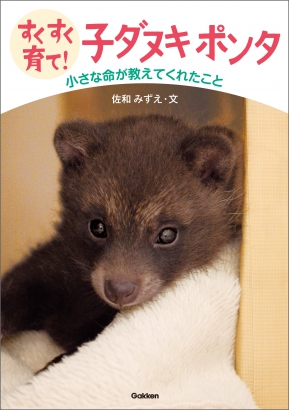 野生のたぬきを拾ったら,どうしたらいいか知っていますか？