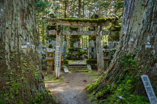 日本有数のパワースポット・高野山に魅せられて