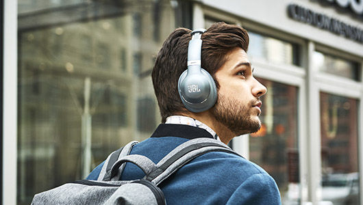 ハイブリッド方式で強力に消音! JBLのノイズキャンセリングヘッドホン「EVEREST ELITE 750NC」