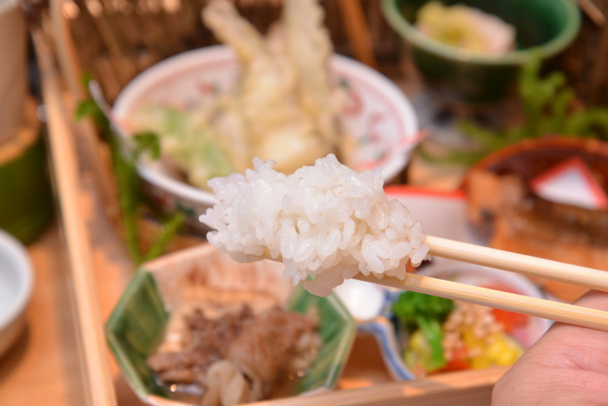 【6月5日まで】お米のおいしさを立体的に感じられるなんて……「究極の銀シャリ」食べ放題に行ってきた